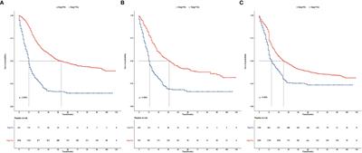 Effect of surgical treatment on patients with stage T3 or T4 triple-negative breast cancer: a SEER-based retrospective observational study